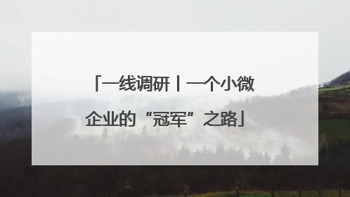 一线调研丨一个小微企业的“冠军”之路