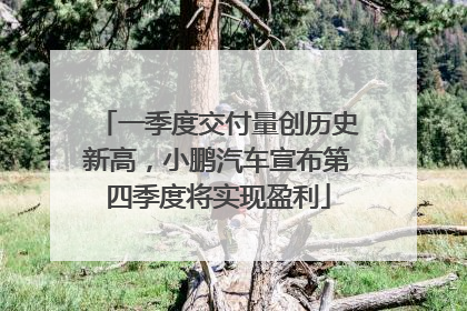 一季度交付量创历史新高，小鹏汽车宣布第四季度将实现盈利