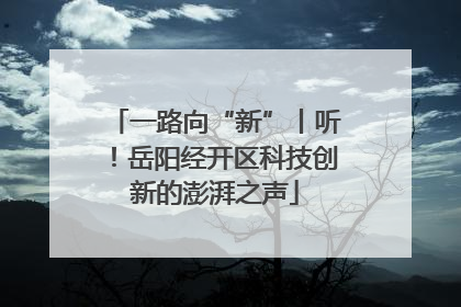 一路向“新”丨听！岳阳经开区科技创新的澎湃之声