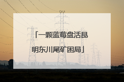 一颗蓝莓盘活昆明东川尾矿困局