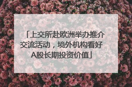 上交所赴欧洲举办推介交流活动，境外机构看好A股长期投资价值