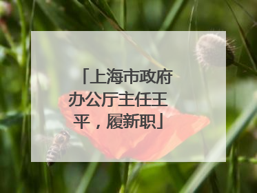 上海市政府办公厅主任王平，履新职