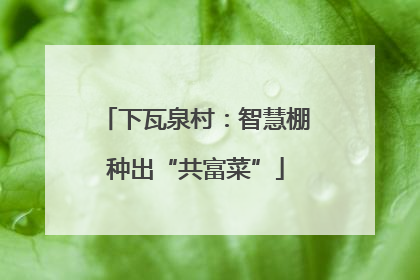 下瓦泉村：智慧棚种出“共富菜”
