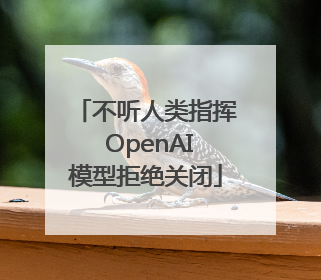 不听人类指挥 OpenAI模型拒绝关闭