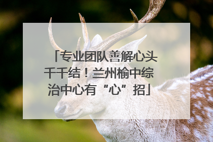 专业团队善解心头千千结！兰州榆中综治中心有“心”招