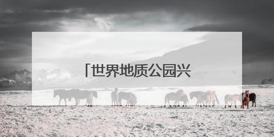 世界地质公园兴文石海获颁“行读四川”研学品牌