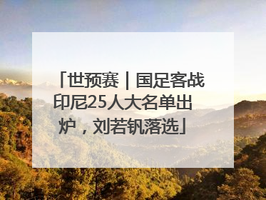 世预赛｜国足客战印尼25人大名单出炉，刘若钒落选