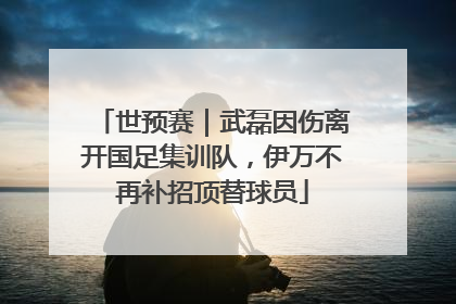 世预赛｜武磊因伤离开国足集训队，伊万不再补招顶替球员