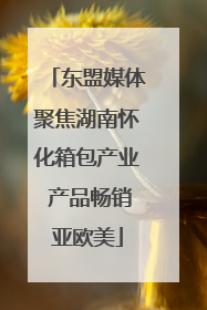 东盟媒体聚焦湖南怀化箱包产业 产品畅销亚欧美