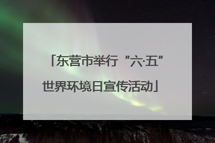 东营市举行“六·五”世界环境日宣传活动