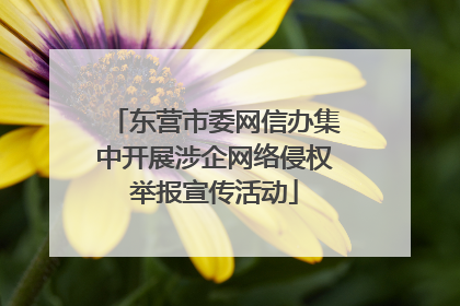 东营市委网信办集中开展涉企网络侵权举报宣传活动