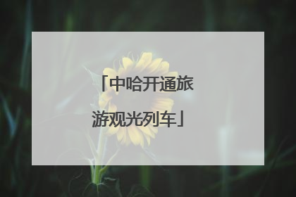 中哈开通旅游观光列车