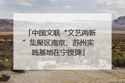 中国文联“文艺两新”集聚区南京、苏州实践基地在宁授牌