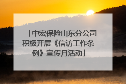 中宏保险山东分公司积极开展《信访工作条例》宣传月活动
