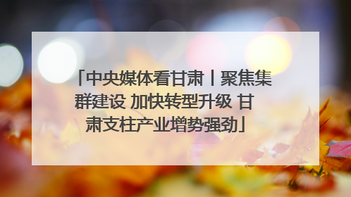 中央媒体看甘肃丨聚焦集群建设 加快转型升级 甘肃支柱产业增势强劲