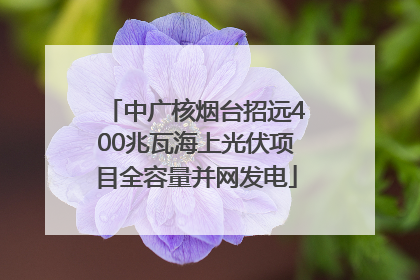 中广核烟台招远400兆瓦海上光伏项目全容量并网发电