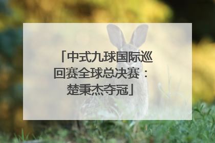 中式九球国际巡回赛全球总决赛：楚秉杰夺冠