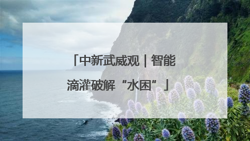 中新武威观｜智能滴灌破解“水困”