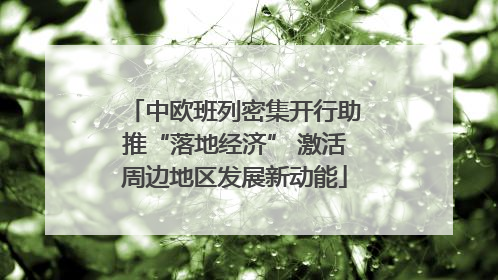 中欧班列密集开行助推“落地经济” 激活周边地区发展新动能