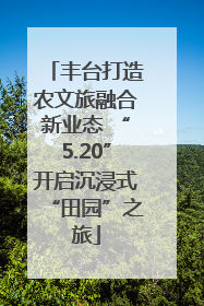 丰台打造农文旅融合新业态 “5.20”开启沉浸式“田园”之旅