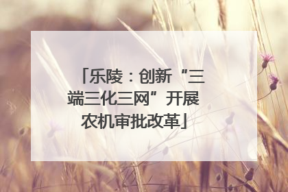 乐陵：创新“三端三化三网”开展农机审批改革