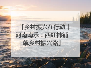 乡村振兴在行动丨河南南乐：西红柿铺就乡村振兴路