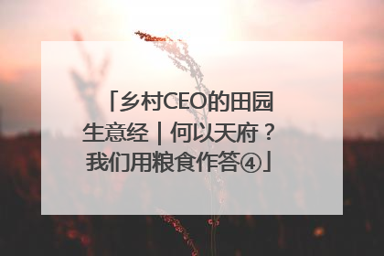 乡村CEO的田园生意经｜何以天府？我们用粮食作答④