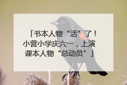 书本人物“活”了！小营小学庆六一，上演课本人物“总动员”