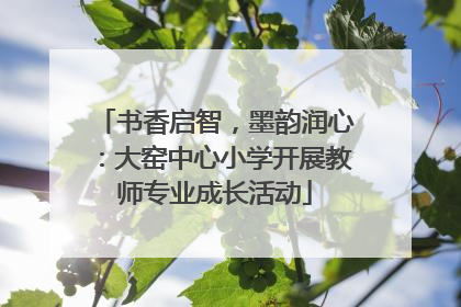 书香启智，墨韵润心：大窑中心小学开展教师专业成长活动