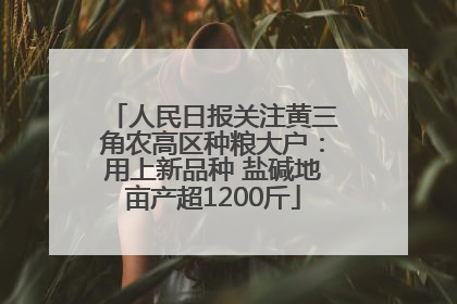 人民日报关注黄三角农高区种粮大户：用上新品种 盐碱地亩产超1200斤