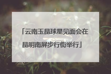 云南玉昆球星见面会在昆明南屏步行街举行