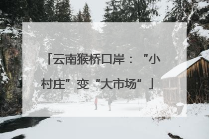云南猴桥口岸：“小村庄”变“大市场”