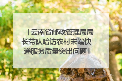 云南省邮政管理局局长带队暗访农村末端快递服务质量突出问题