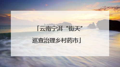 云南宁洱“街天”巡查治理乡村药市