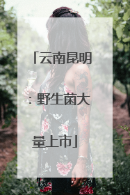 云南昆明：野生菌大量上市