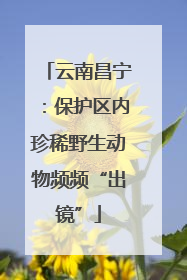云南昌宁：保护区内珍稀野生动物频频“出镜”