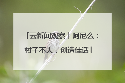 云新闻观察︱阿尼么：村子不大，创造佳话