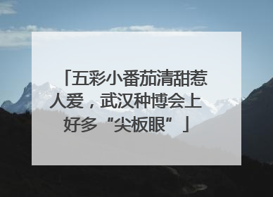 五彩小番茄清甜惹人爱，武汉种博会上好多“尖板眼”