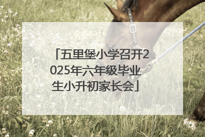五里堡小学召开2025年六年级毕业生小升初家长会