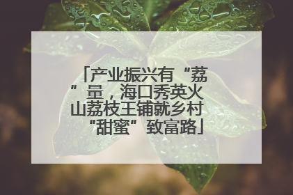 产业振兴有“荔”量，海口秀英火山荔枝王铺就乡村“甜蜜”致富路
