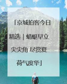 京城拍客今日精选｜蜻蜓早立尖尖角 尽赏夏荷气度华