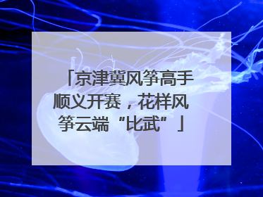 京津冀风筝高手顺义开赛，花样风筝云端“比武”