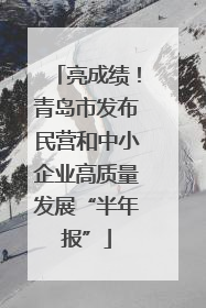 亮成绩！青岛市发布民营和中小企业高质量发展“半年报”