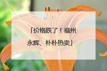 价格跌了！福州永辉、朴朴热卖
