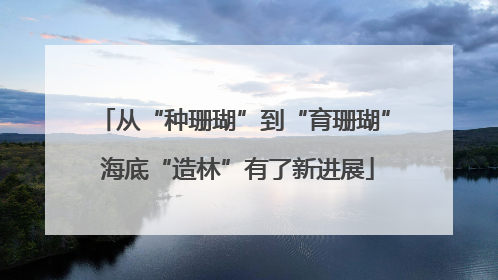 从“种珊瑚”到“育珊瑚” 海底“造林”有了新进展