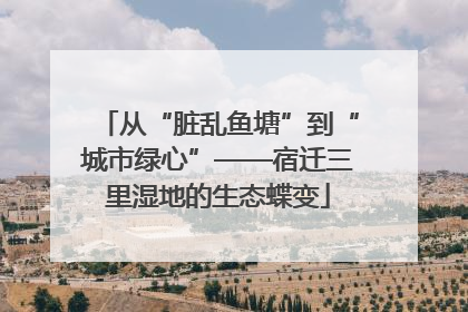 从“脏乱鱼塘”到“城市绿心”——宿迁三里湿地的生态蝶变