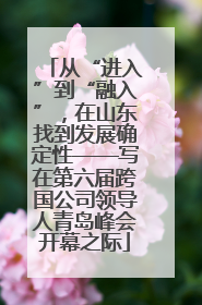 从“进入”到“融入”，在山东找到发展确定性——写在第六届跨国公司领导人青岛峰会开幕之际