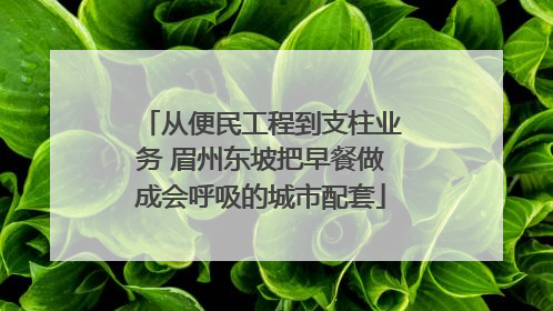 从便民工程到支柱业务 眉州东坡把早餐做成会呼吸的城市配套