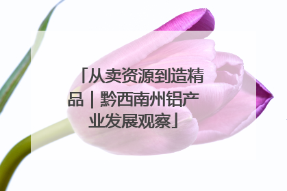 从卖资源到造精品｜黔西南州铝产业发展观察