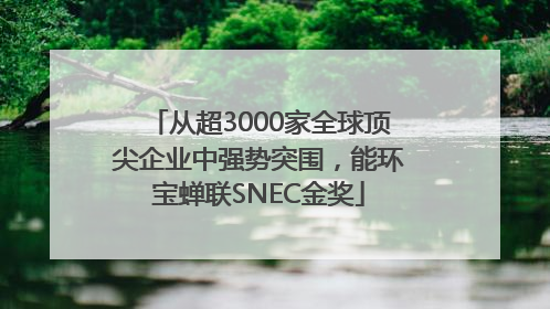 从超3000家全球顶尖企业中强势突围，能环宝蝉联SNEC金奖